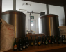 IMG-20230815-WA0008